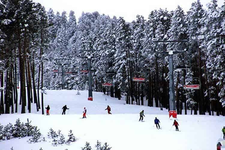 Sarıkamış Kar Otel